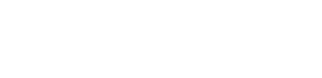 BI Group